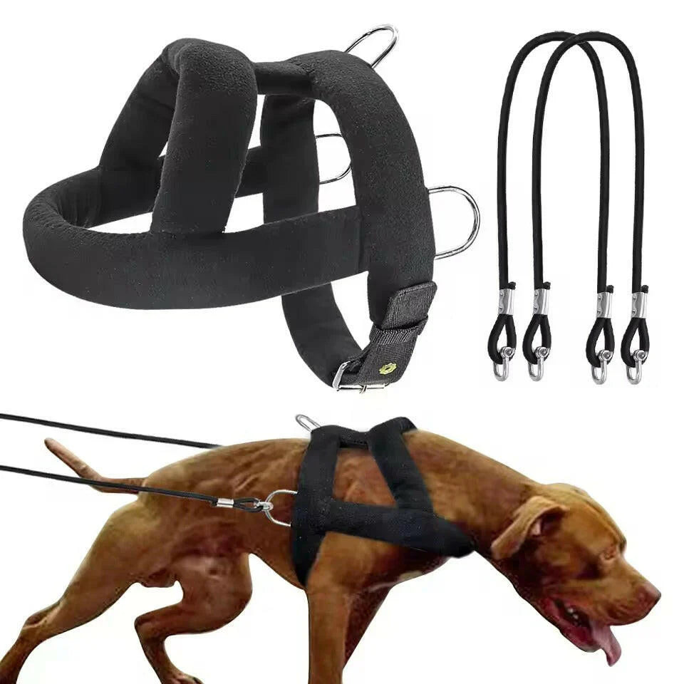 Tough Dog Pulling Harness with Padded Support