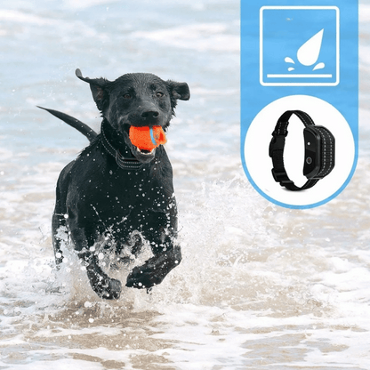 Long Range Waterproof Dog Training Collar with LCD Remote