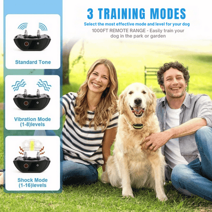 Long Range Waterproof Dog Training Collar with LCD Remote