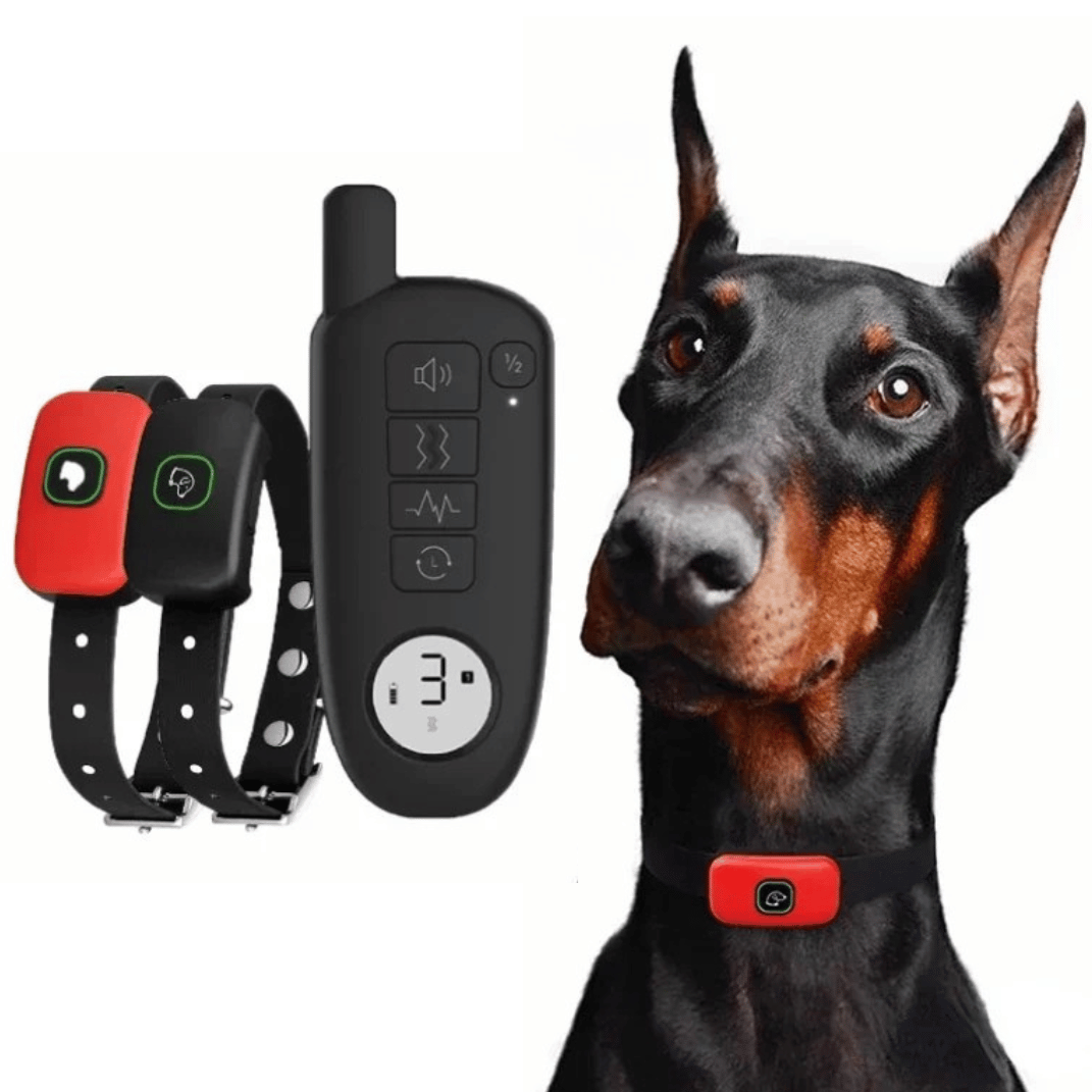 Rechargeable Dog Training Collar & Small LCD Remote