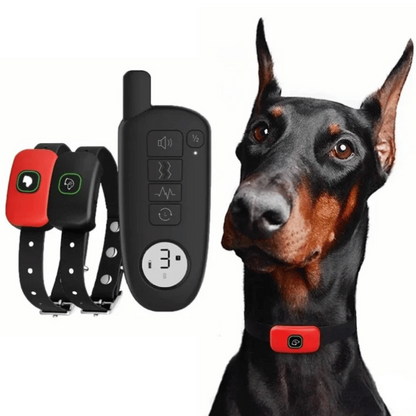 Rechargeable Dog Training Collar & Small LCD Remote
