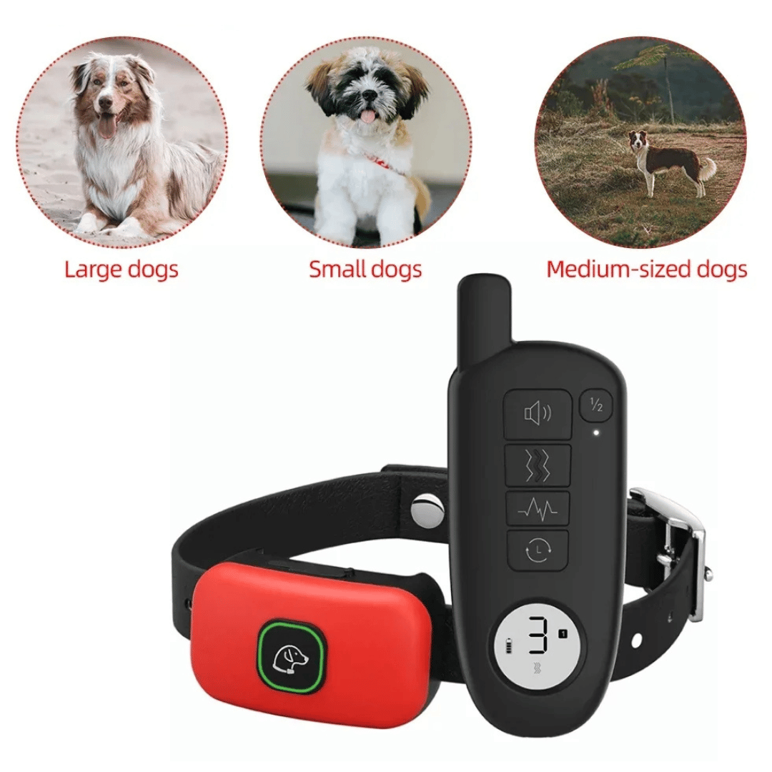 Rechargeable Dog Training Collar & Small LCD Remote