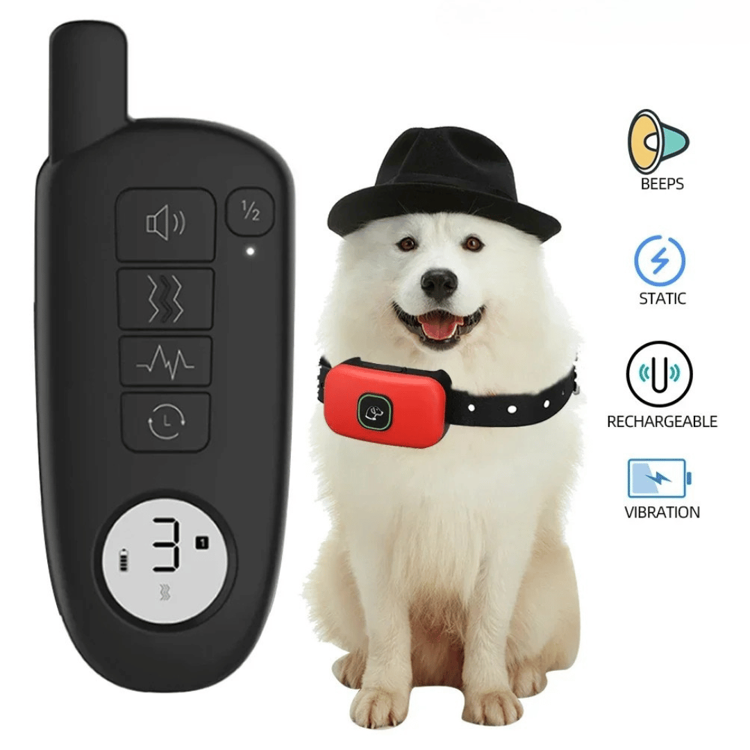 Rechargeable Dog Training Collar & Small LCD Remote