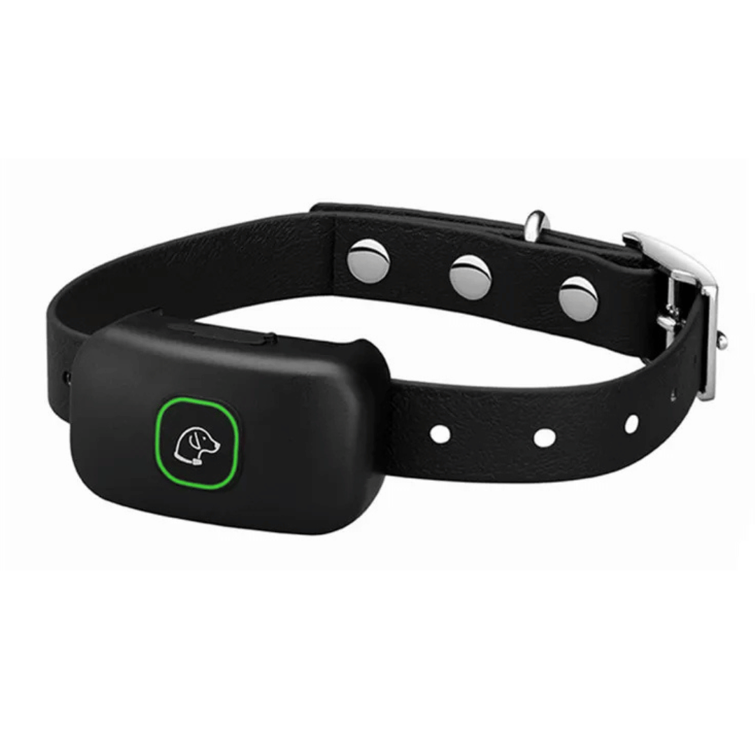 Rechargeable Dog Training Collar & Small LCD Remote