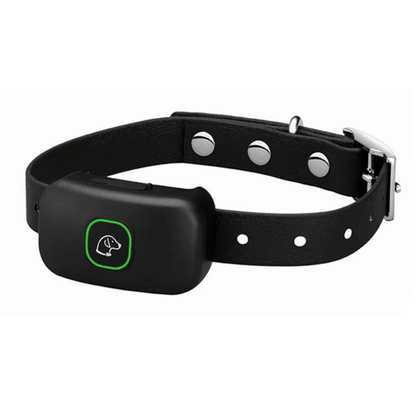 Rechargeable Dog Training Collar & Small LCD Remote
