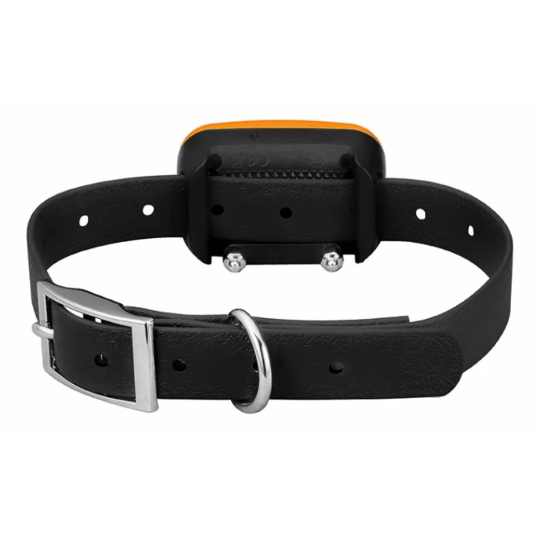 Rechargeable Dog Training Collar & Small LCD Remote