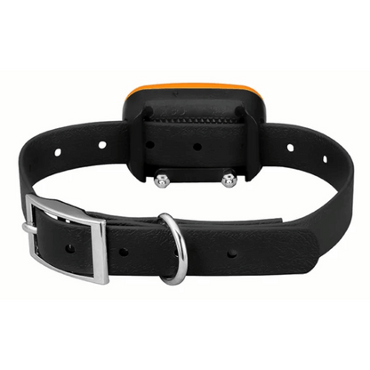Rechargeable Dog Training Collar & Small LCD Remote
