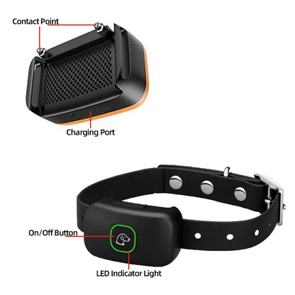Rechargeable Dog Training Collar & Small LCD Remote
