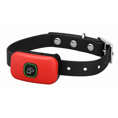Rechargeable Dog Training Collar & Small LCD Remote