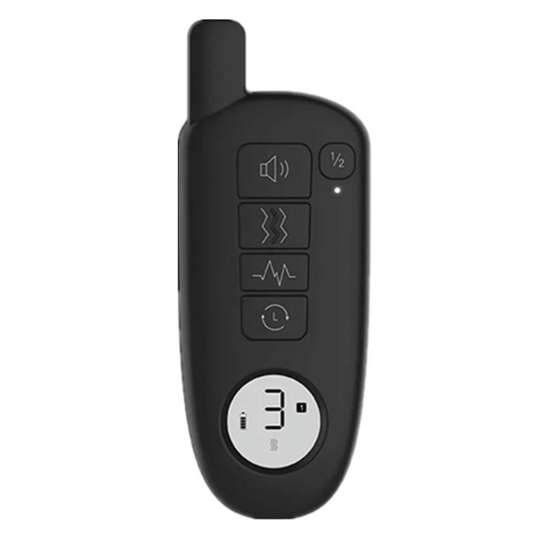 Rechargeable Dog Training Collar & Small LCD Remote