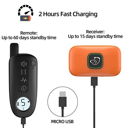 Rechargeable Dog Training Collar & Small LCD Remote