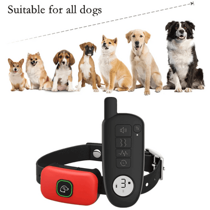 Rechargeable Dog Training Collar & Small LCD Remote