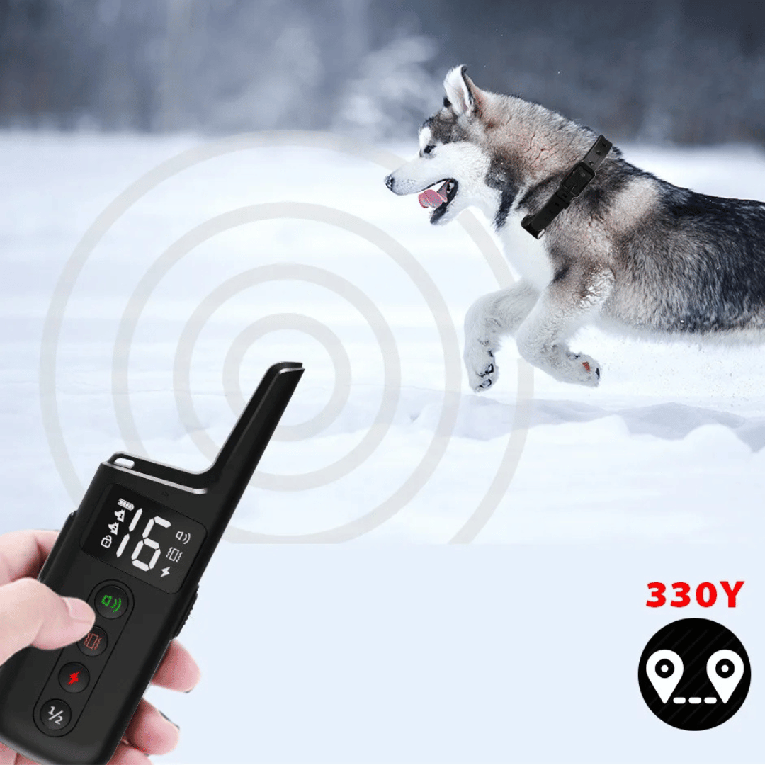 Long Range Dog Training Collar & LCD Remote