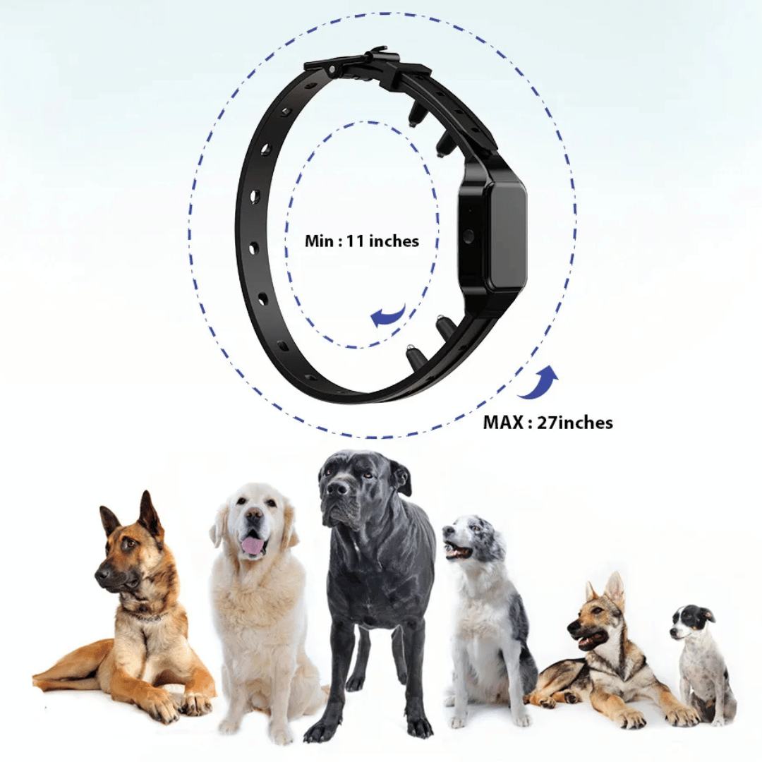 Long Range Dog Training Collar & LCD Remote