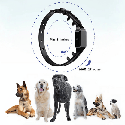 Long Range Dog Training Collar & LCD Remote