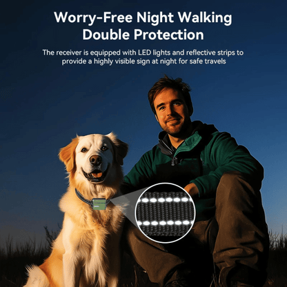Rechargeable Dog Training Collar with LCD Remote Control