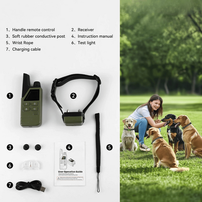 Rechargeable Dog Training Collar with LCD Remote Control