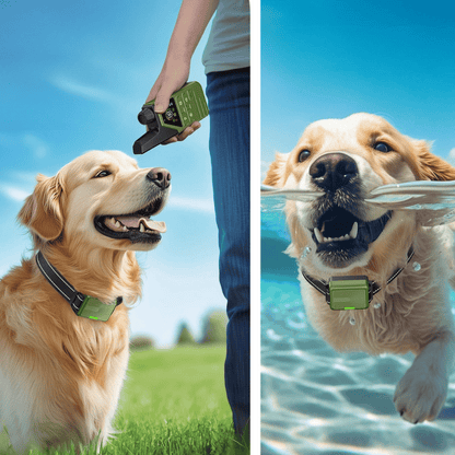 Rechargeable Dog Training Collar with LCD Remote Control