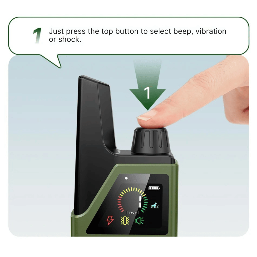 Rechargeable Dog Training Collar with LCD Remote Control