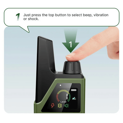 Rechargeable Dog Training Collar with LCD Remote Control