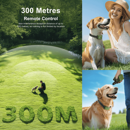 Rechargeable Dog Training Collar with LCD Remote Control