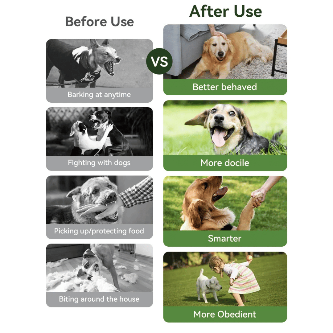 Rechargeable Dog Training Collar with LCD Remote Control