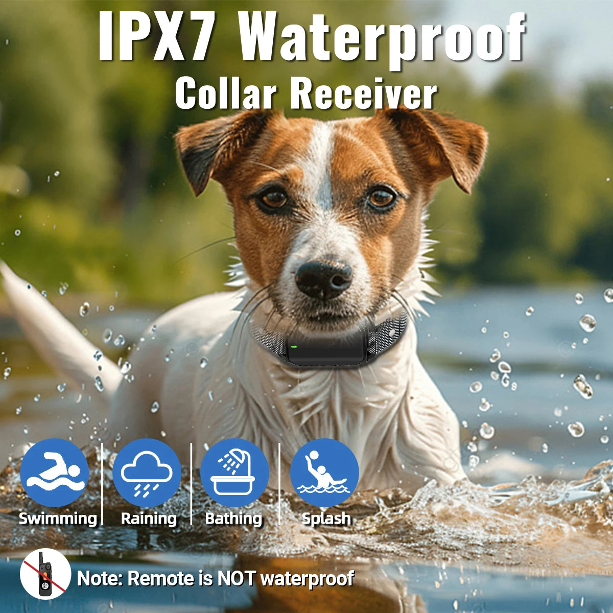 Waterproof Remote Dog Training Collar with Flashlight