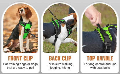 Visible LED Dog Vest for Nighttime Walking Safety