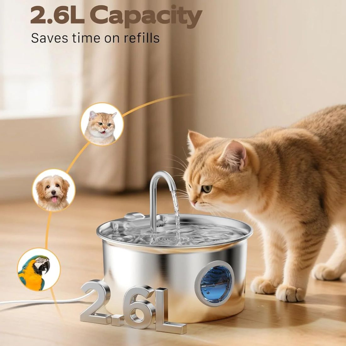 2.6L Stainless Steel Cat Water Fountain - Ultra-Quiet with 4-Stage Filtration