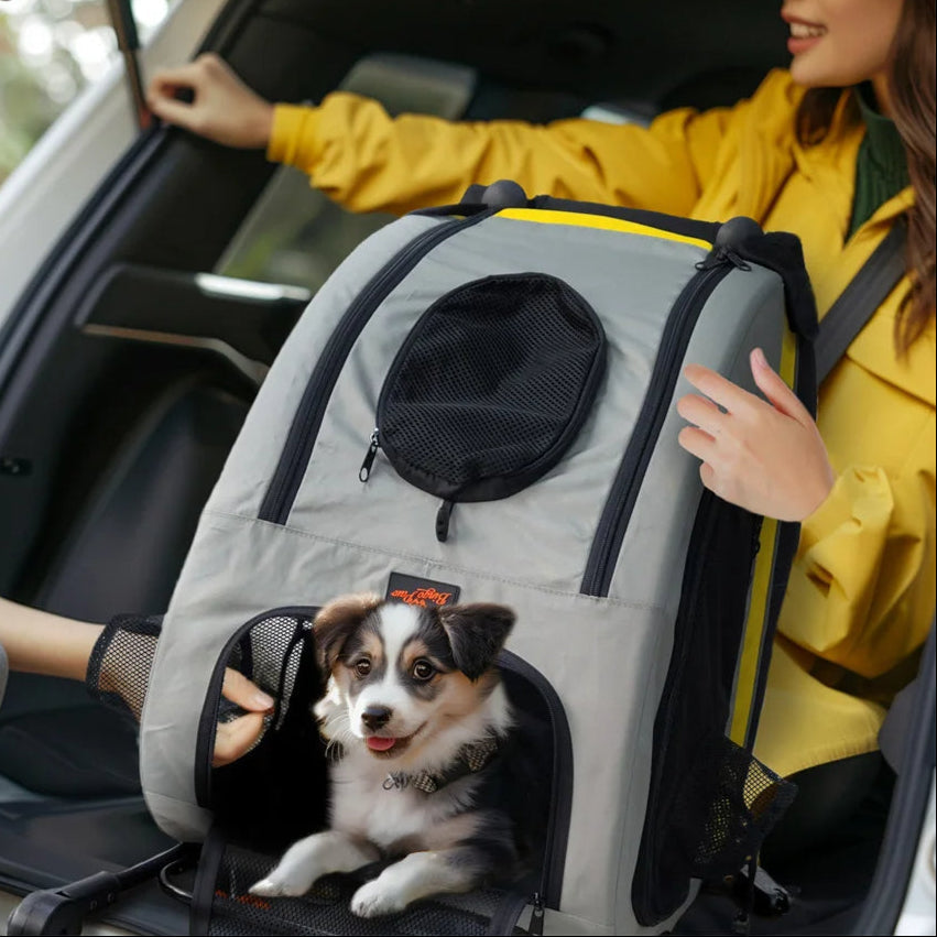 Portable Pet Stroller Car Carrier for Small Dogs