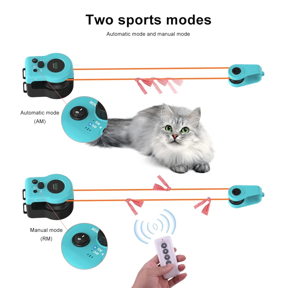 Fun Cat Laser Pointer Toy