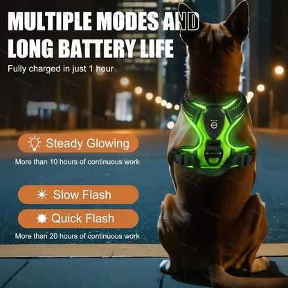 Visible LED Dog Vest for Nighttime Walking Safety