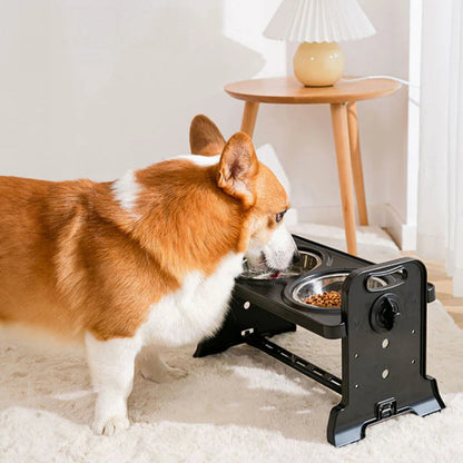 Elevated Dog Feeder with Two Stainless Steel Pet Bowls