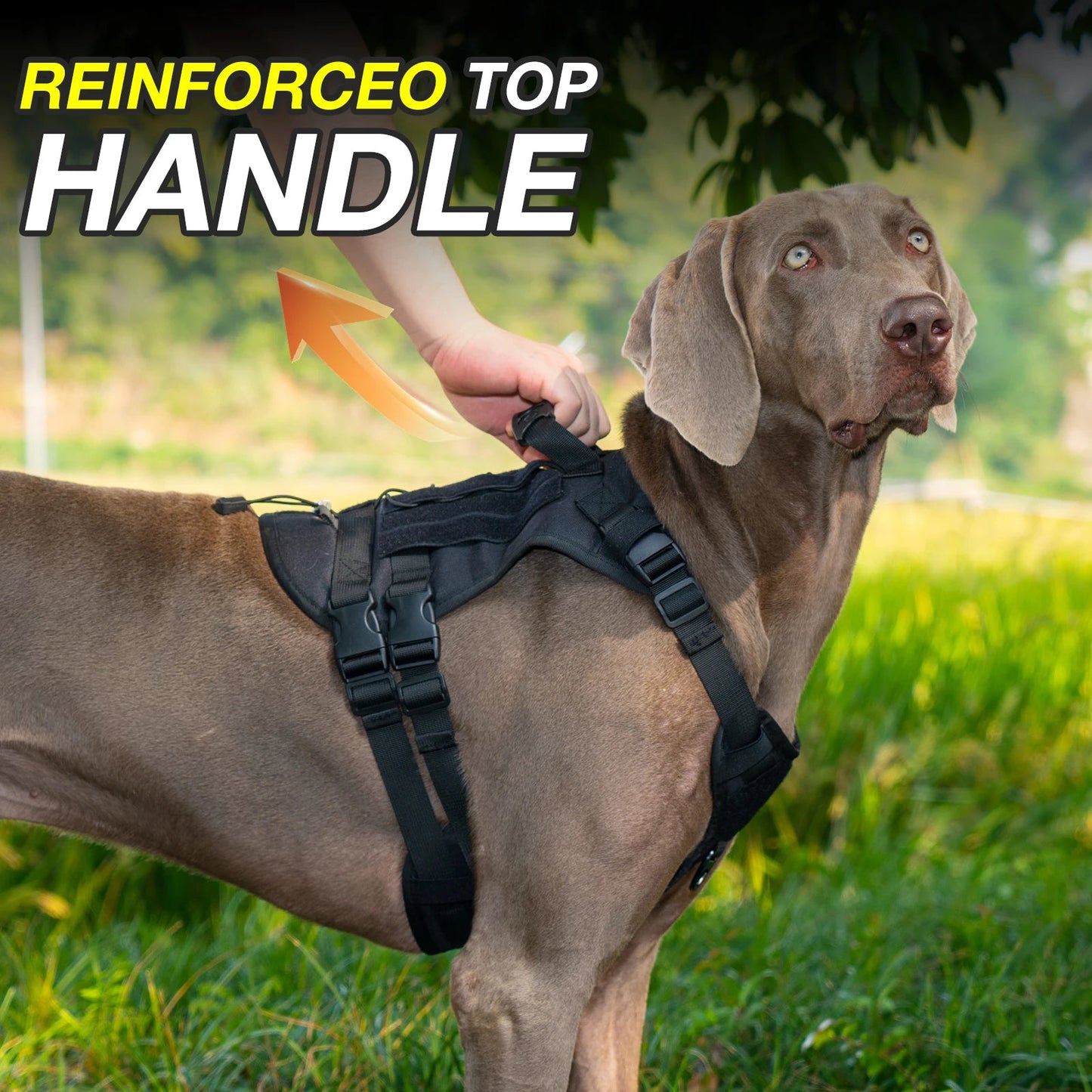 Durable Heavy-Duty Dog Vest with Handle for Large Breeds