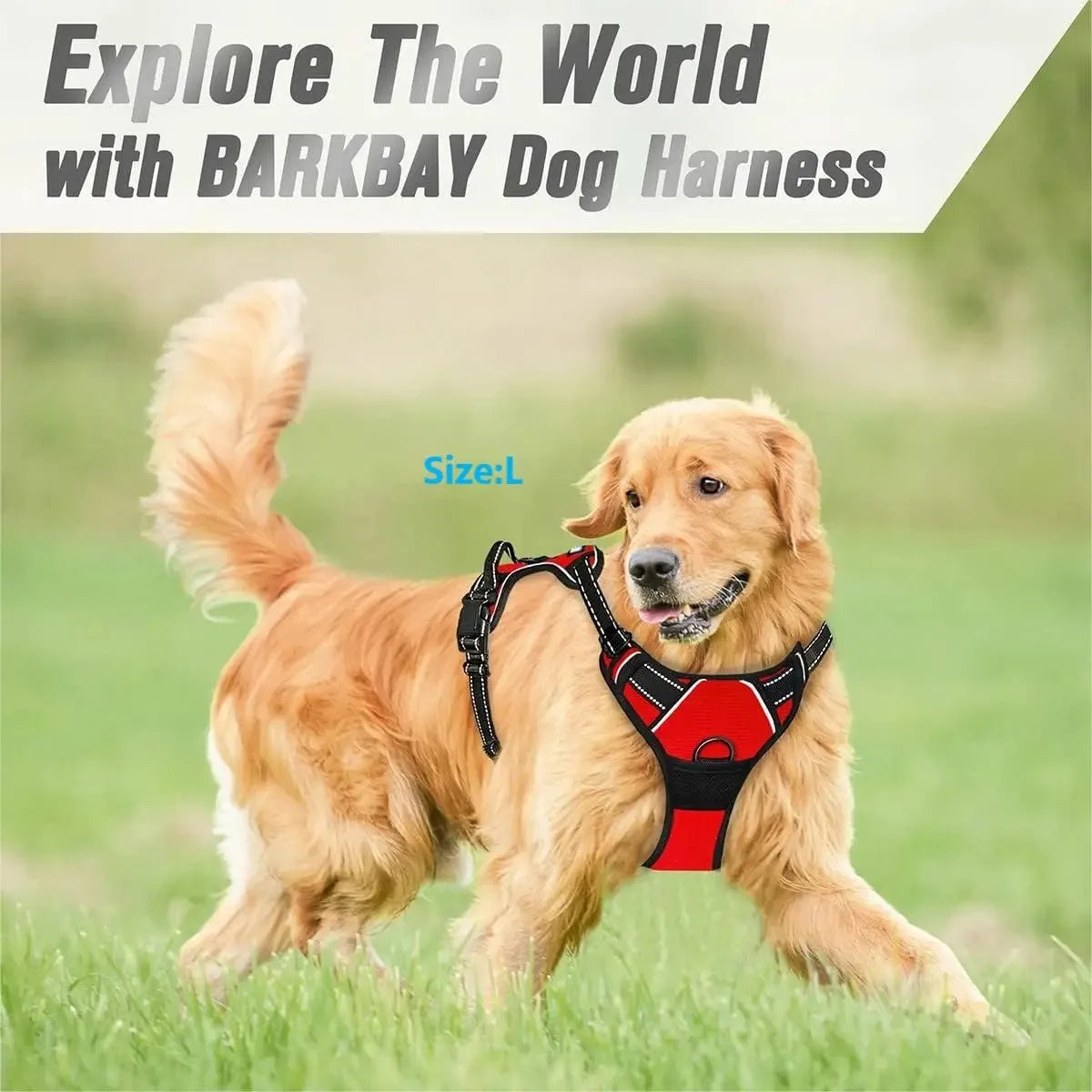 Puppy Walking Harness with Reflective Safety Straps