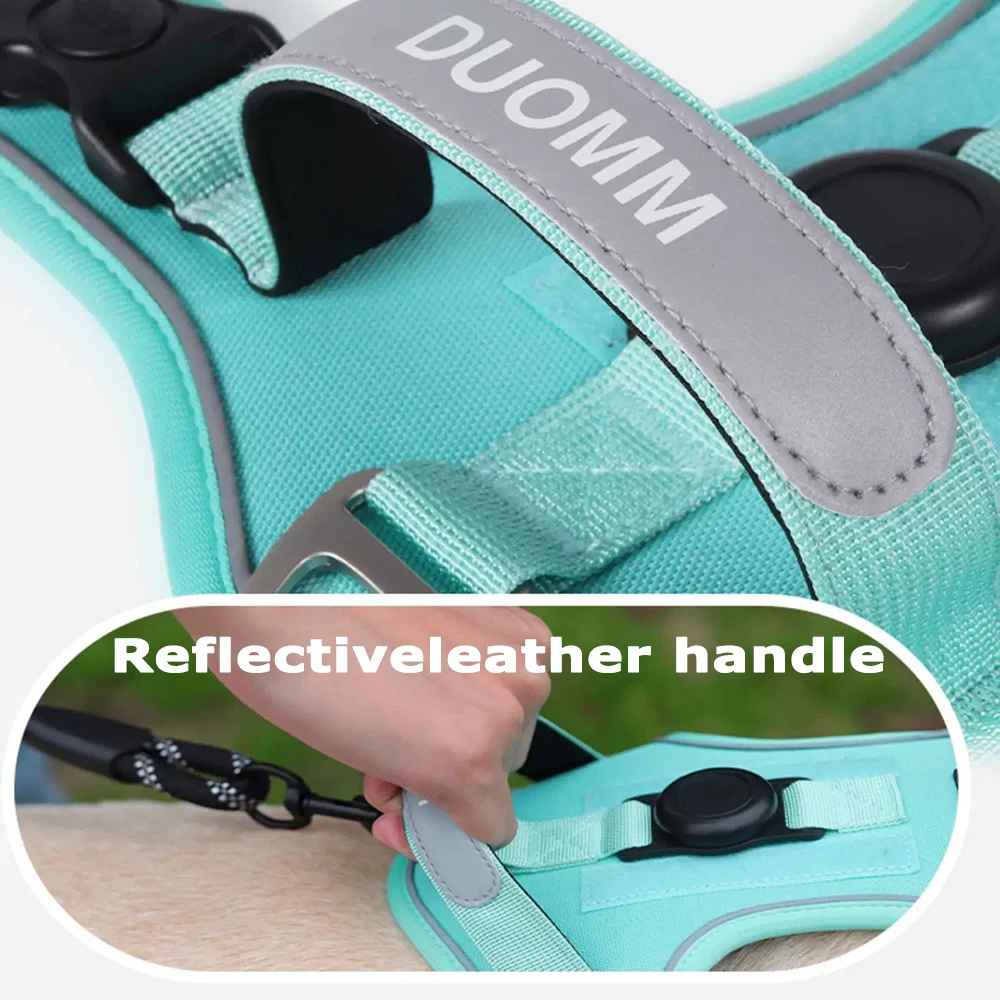 Durable Padded Dog Harness with Leash Clip and ID Holder