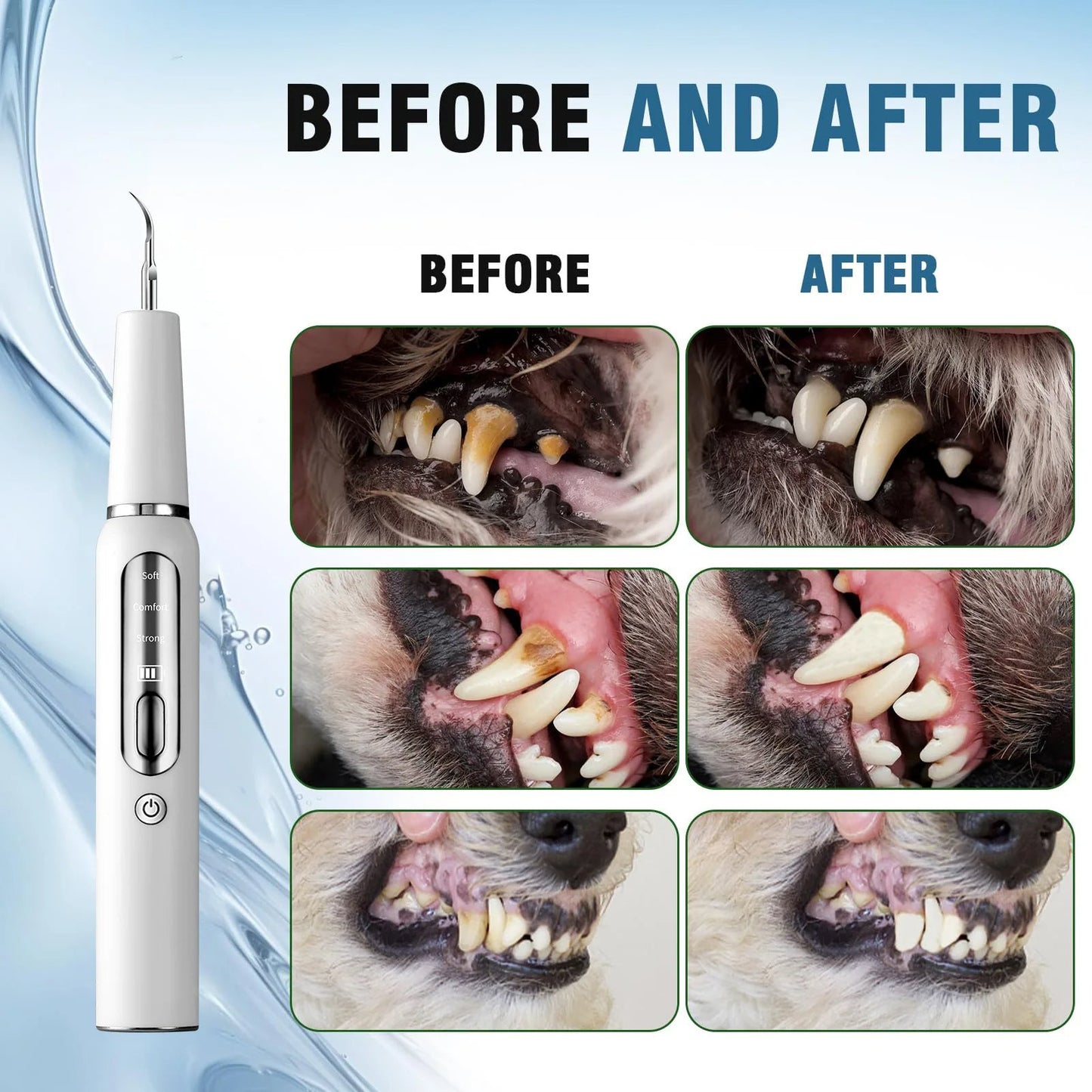 Pet Dental Care Kit for Dogs Teeth Cleaning