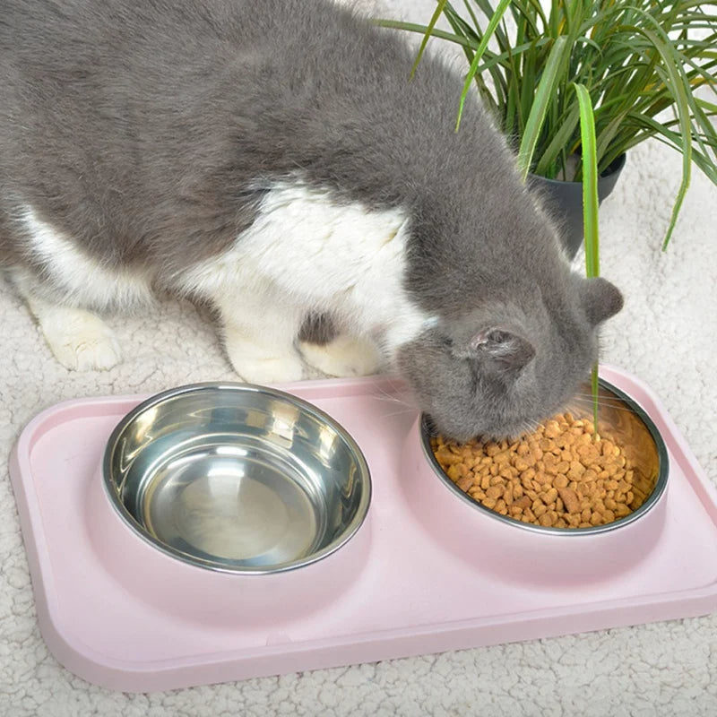 Durable Stainless Steel Pet Food Bowls & Non Slip Tray