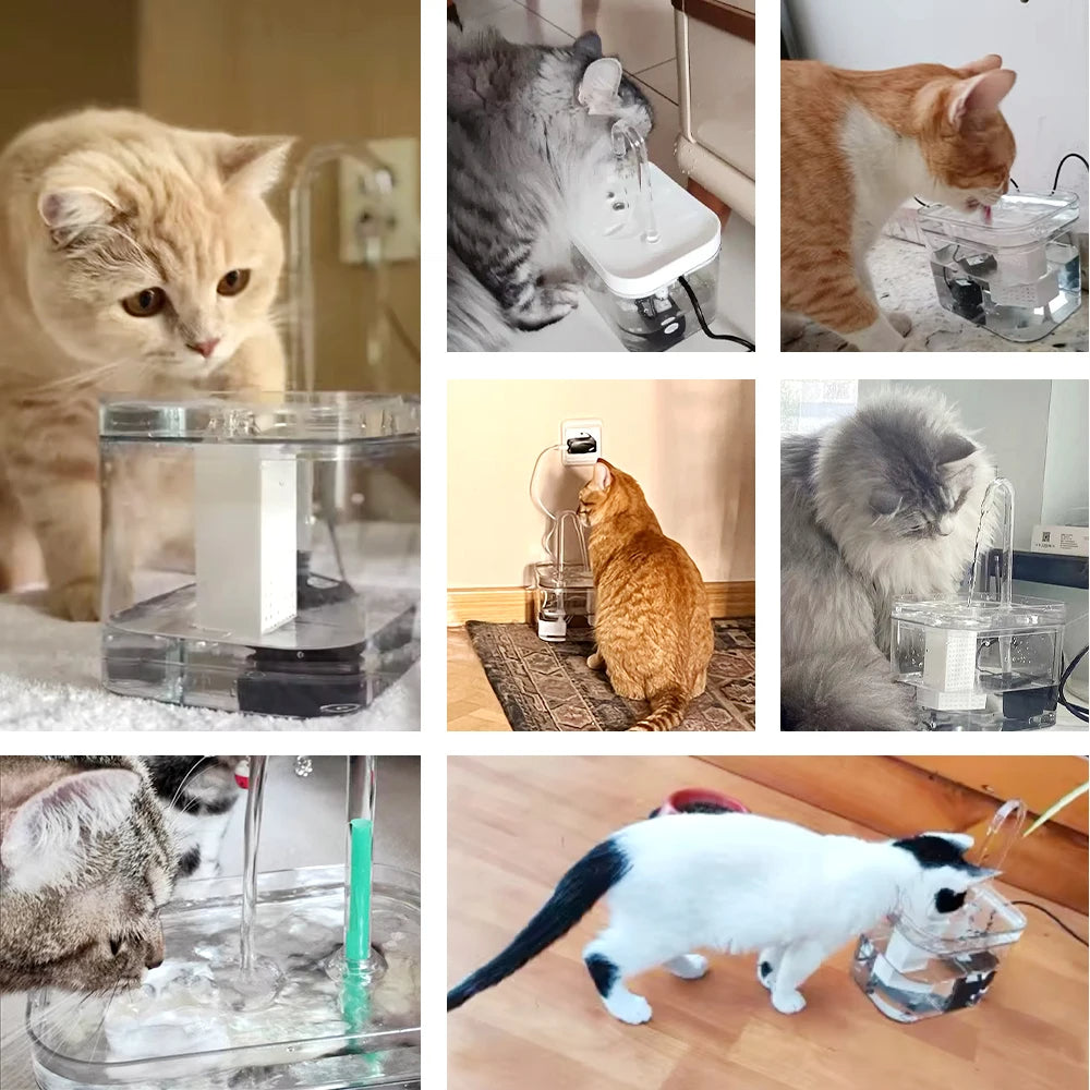 Self Cleaning Cat Water Dispenser & Purifier