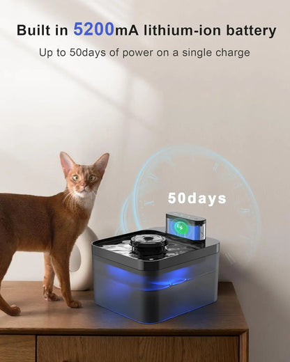 Pet Water Dispenser with Sensor and USB Charging