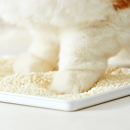 Eco-Friendly Natural Odor Control Cat Litter
