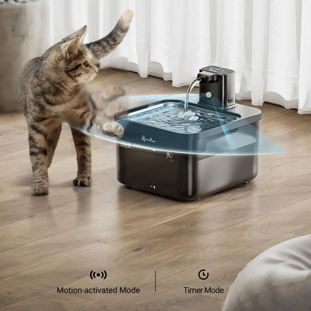 Silent Pet Fountain with Auto Sensor & Stainless Steel Bowl