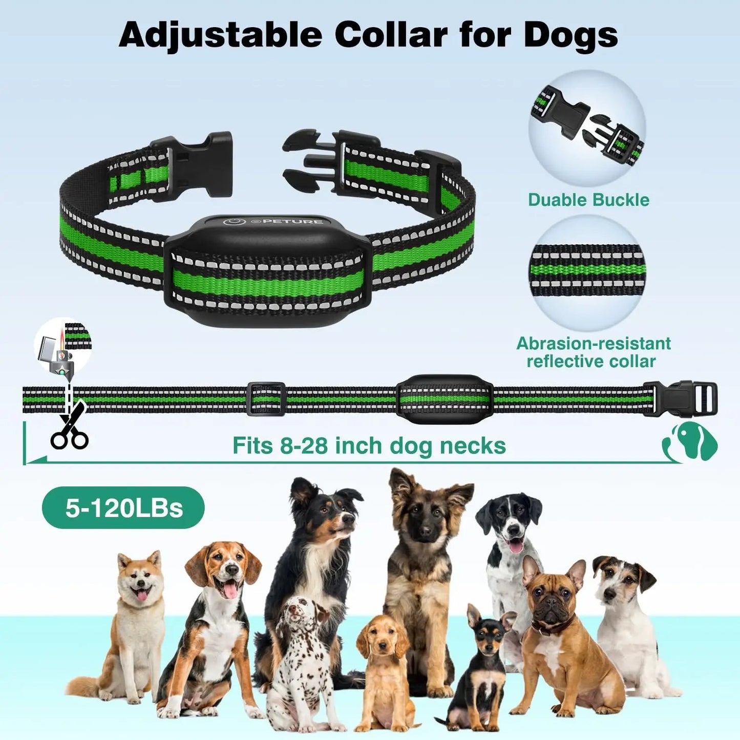 Effective Dog Training Collar for Large Pets