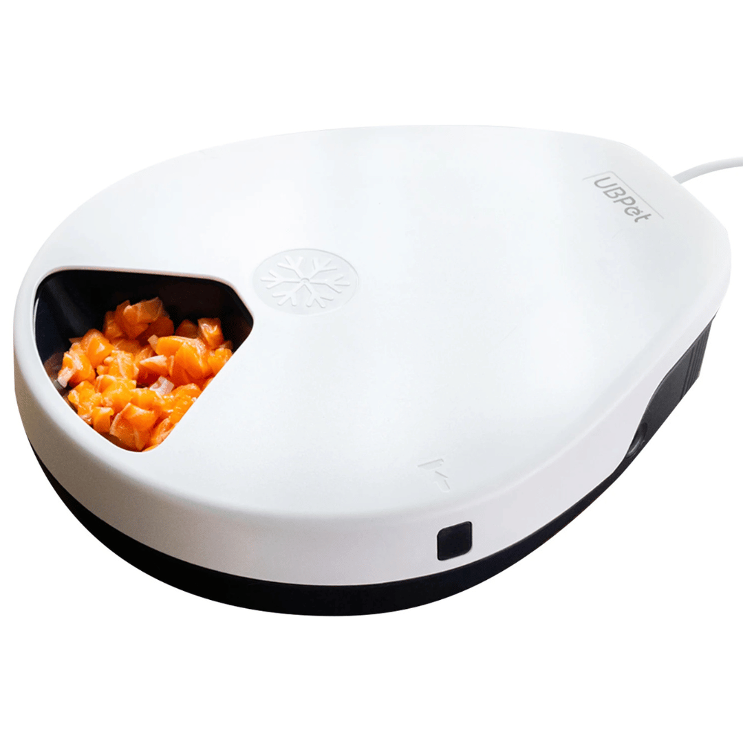 Digital Pet Food Dispenser with Cooler and Schedule - LifyPet