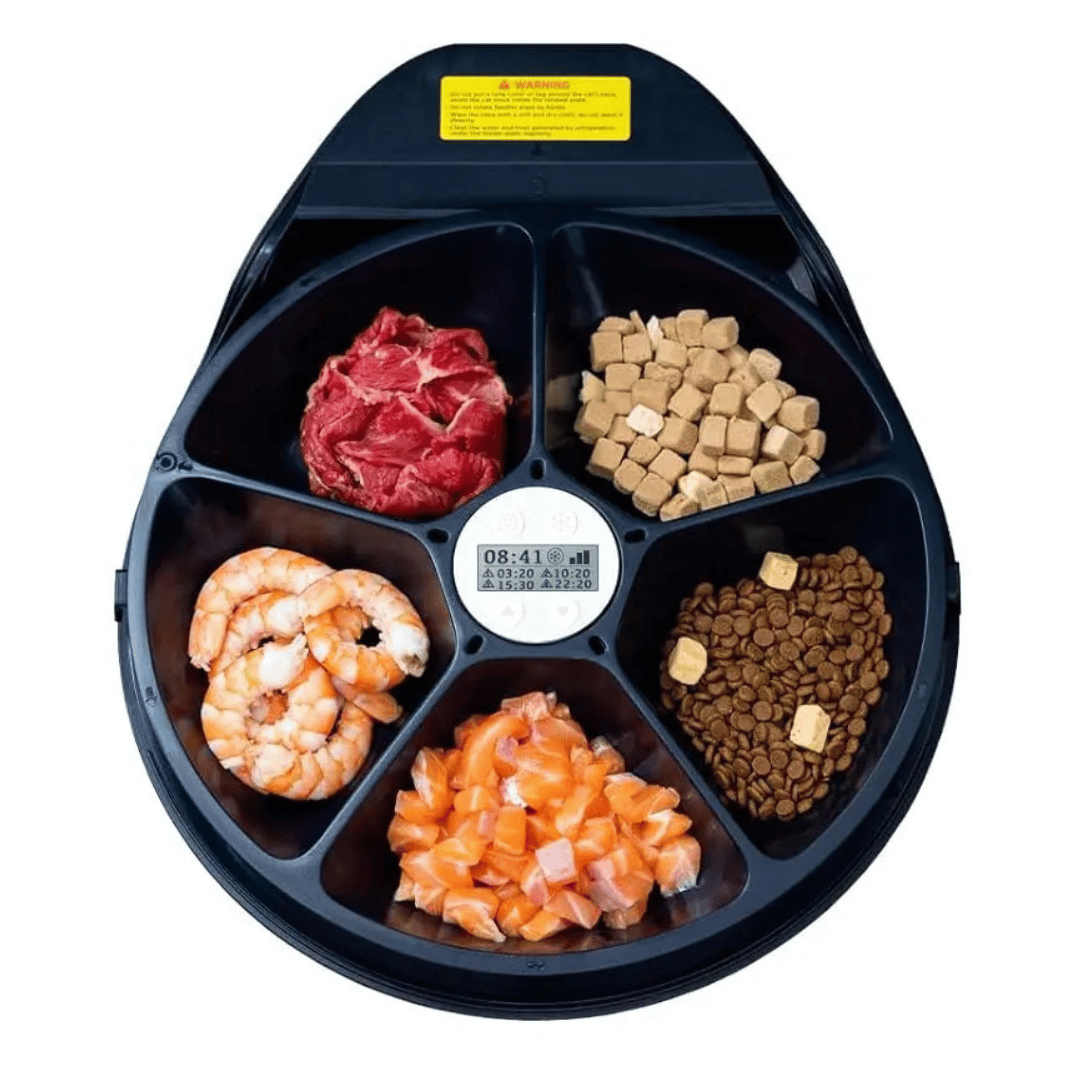Digital Pet Food Dispenser with Cooler and Schedule