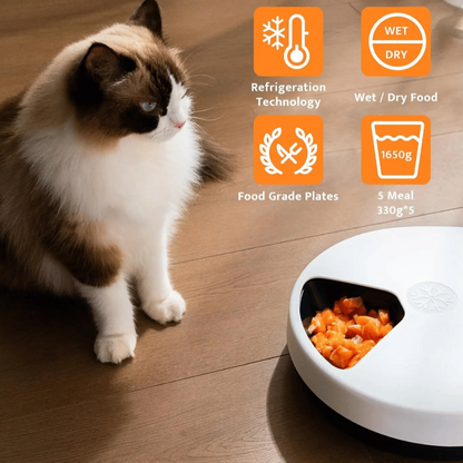 Digital Pet Food Dispenser with Cooler and Schedule