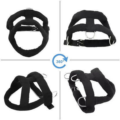 Tough Dog Pulling Harness with Padded Support