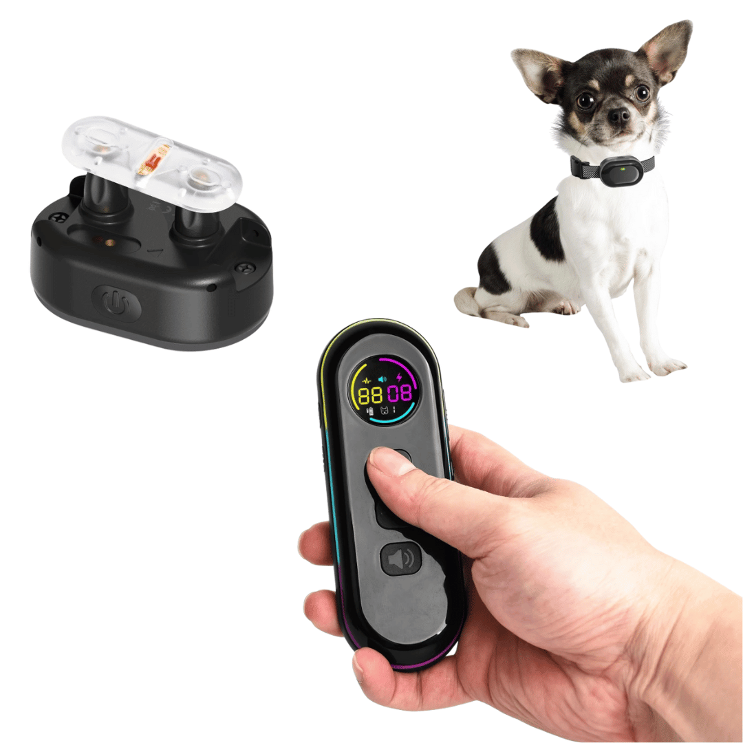 Long Range Remote Dog Training Collar for All Sizes