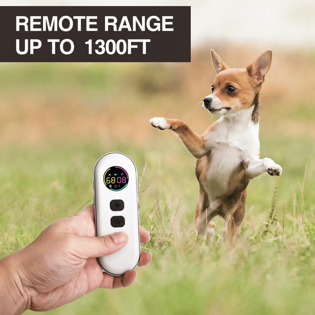 Long Range Remote Dog Training Collar for All Sizes
