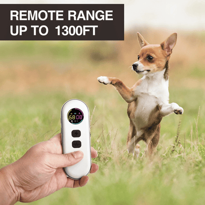 Long Range Remote Dog Training Collar for All Sizes
